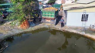 Wonderful Technique!! Bulldozer Operator & Truck 5T Pushing Rock Siol Filling Flooded Land