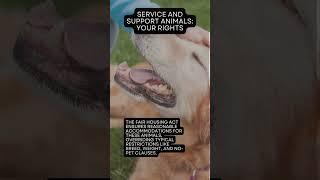 Understanding Tenant Rights in Pet Policies #lansing  #michigan #realestate #housing #renting