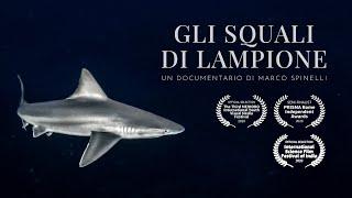 Gli Squali di Lampione