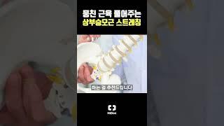 뭉친 근육 풀어주는 상부승모근 스트레칭 #shorts