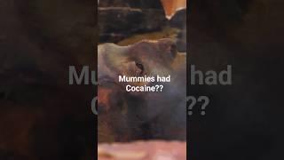 Egyptian Mummies Tested Positive for Cocaine — How?!
