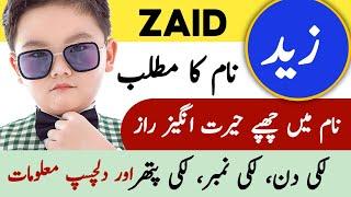 Zaid Name Meaning In Urdu | Zaid Naam Ka Matlab | Zaid Meaning | زید نام کا مطلب |