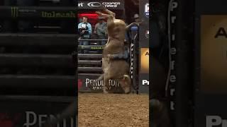 Hoof stand  by Bull #bull #cowboys #sports #viral #trending #ytshorts #shortsvideo #action #shorts