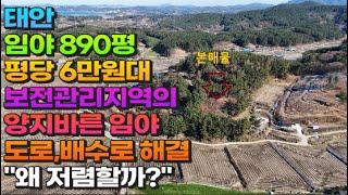 [매물792] 태안 890평 평당6만원대 보전관리지역의 양지바른 임야 도로,배수로 가능 "왜 저렴할까?"