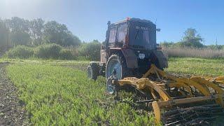 Культивація проблемної ділянки огляд площі Альфи та Бомонду