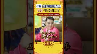 [2025년 6월 호랑이띠운세]  문서운이 들어왔다! 단, 계약할 때 이것 조심하세요! #범띠 #98년생 #86년생 #74년생 #62년생 #50년생 #문서운