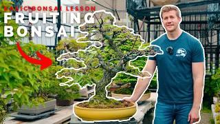 BONSAI 101 | Fruiting Bonsai Techniques | Bonsai-U