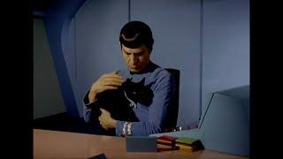 Spock Pets Small Animals Because It's Logical