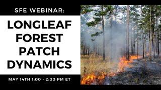 SFE Webinar: Longleaf Pine Forest Patch Dynamics