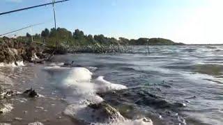 Рыбалка с ночёвкой на донки, спиннинг! Когда не надо ловить на лягушку! Рыбалка на Оке в сентябре!