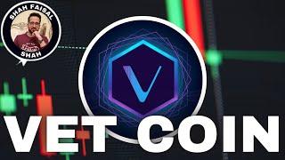 VeChain VET Price Prediction 14 December 2024