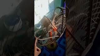 #akhileshkumar farrata fans reparing bairing chenj karne ke bad pankha deema chal raha hai#repairing