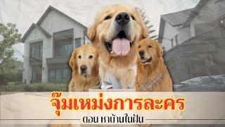 จุ๊มเหม่งการละคร ตอน หมาซมซานหาบ้านในฝัน