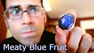 KHO FRUIT - A Shiny Blue Fruit that Tastes Super Savory