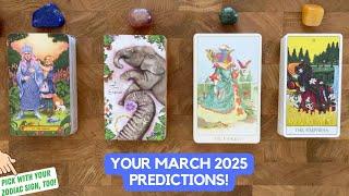 Your March 2025 Predictions!