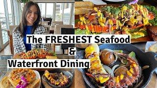 Freshest Seafood Restaurant in Miami + Waterfront View! Casablanca on the Bay - Restaurants in Miami