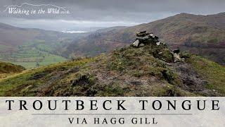 Lake District Walks: Troutbeck Tongue via Hagg Gill