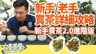 【六奉茶莊】新手老手都適用！買茶詳細攻略！新手買茶2.0進階版