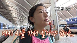 솔직 유튜브 만으로는 힘들다. 부업 찾기 (스마트팜셀, 불로정생, 추학마을, 참송이버섯)