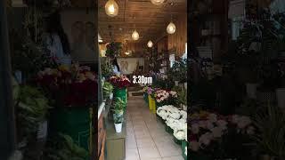 A Day in the Life Living in the West end of Belleville