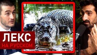 Черный кайман: суперхищник джунглей Амазонки | Пол Розоли и Лекс Фридман
