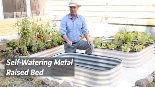 How to Grow Vegetables With Self-Watering Metal Raised Beds | Gardener's Supply