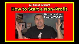 How to start an animal rescue. How to start a non profit animal rescue