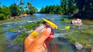 Fly Fishing BIG Streamers for Smallmouth Bass | Insane Day!