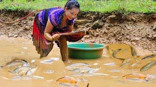 How to catch giant fish in pond, giant grass carp - Cooking grass carp l Lý Thị Sai