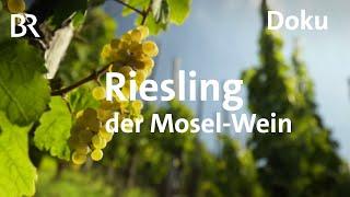 Deutscher Wein an der Mosel - eine Riesling-Reise | freizeit | Schmidt Max | BR | Doku