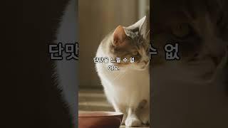 자연의 숨겨진 비밀: 놀라운 과학 사실들