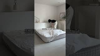 없으면 안되는 우리집 10만원대 침실 현실템 2가지 #매트리스커버 #침대깔판 #집꾸미기 #정리