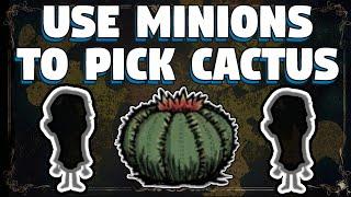 Always Use Minions To Pick Cactus in Don't Starve Together - Minions Do Not Take Cactus Damage