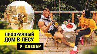 ОБЗОР КУПОЛЬНОГО ГЛЭМПИНГА КЛЕВЕР | ЯРОСЛАВСКАЯ ОБЛАСТЬ | ПРОЗРАЧНЫЙ ДОМ В ЛЕСУ