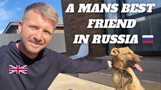 NOW PART OF THE FAMILY | We Show You How We Have Been With Our Rescue Dog So Far Here In Russia