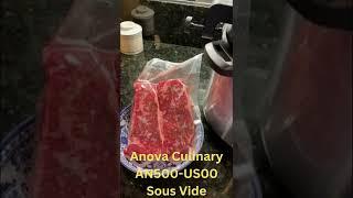 Anova Culinary AN500 US00 Sous Vide Precision Cooker WiFi 2022