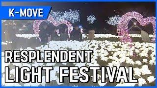 Resplendent Light Festivals / YTN KOREAN