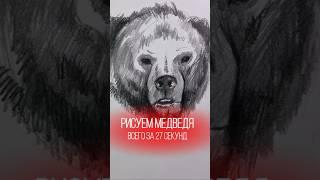 Рисуем медведя #animal #рисунок_карандашом