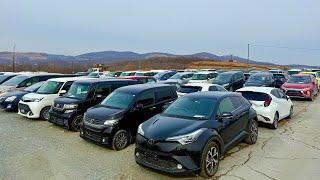 АВТОРЫНОК ЗЕЛЕНЫЙ УГОЛ СЕГОДНЯ‼️ 4  МАРТА 2025АВТОЗАКАЗ КОРЕЯ ЯПОНИИ И КИТАЙ ‼️