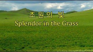 초원의 빛 (Splendor in the Grass) -윌리엄 워즈워스 (William Wordsworth) -세계의 명시 28
