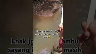 Asyik jga ternyata#mancing#wader #sorotansemuaorang #fyp#shorts