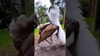 id plz #foryou #ai #tiktok