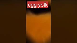 andey ki zardi | egg yolk | #shorts by Afshan Ansari Food Network.
