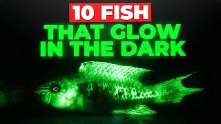 10 Glowing ALIEN Fish From The Deep Sea