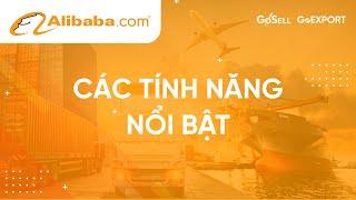 GoEXPORT Có Gì Mà Lại Được Nhiều Khách Hàng Tin Dùng Đến Thế? | GoEXPORT