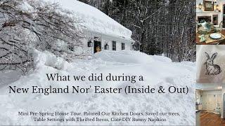 Mini House Tour and what I did inside and out during a  New England Nor' Easter snow storm.