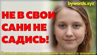 НЕ В СВОИ САНИ НЕ САДИСЬ: смысл и значение