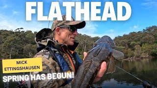 SPRING FLATHEAD IN THE ESTUARY