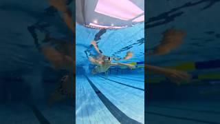 [평영/씰예스/인스타360] 발끝까지 계산된 평영 #씰예스 #씰예스수영훈련팀 #swimming #swim #일요일아침수영 #평영