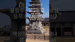 금강경  사구게 중  응무소주 이생기심 이란?   #shorts #불교